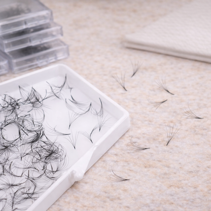 5D Premade Volume Fans – Ultra Dark (500)